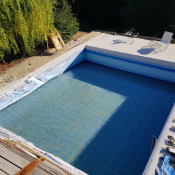 Accessoires et Produits d'Entretien : Maintenez votre Piscine dans un État Impeccable Pau